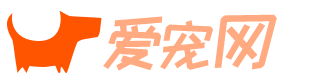 愛寵網 - 有愛有趣有用的寵物門戶網站！